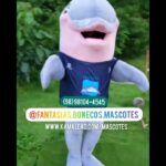 Fantasia de Mascote Golfinho Boto-Cinza
