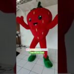 Fantasia de Mascote Morango Peterfrut